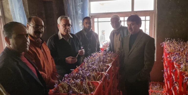 Kashmir gets first indoor saffron garden in Pulwoam