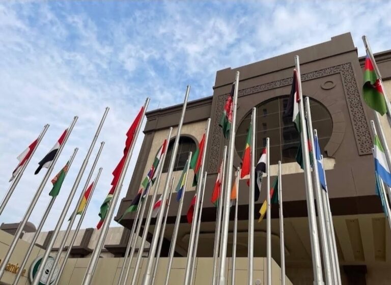 OIC urges India and Pakistan to resume diplomatic dialogue